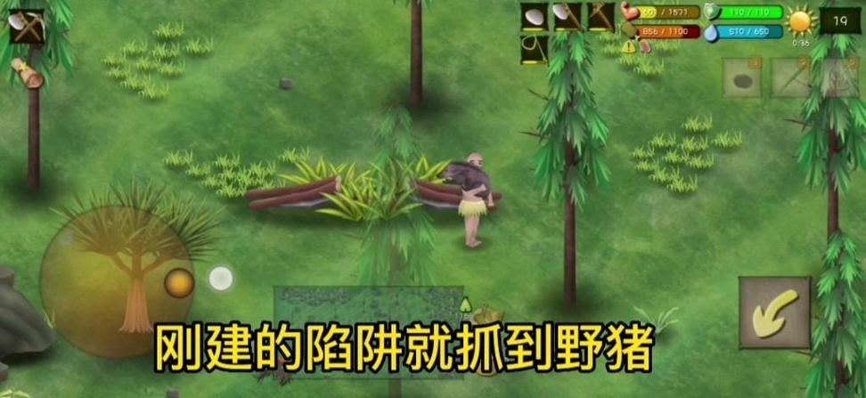 挨饿荒野野猪在哪里捕缩略图