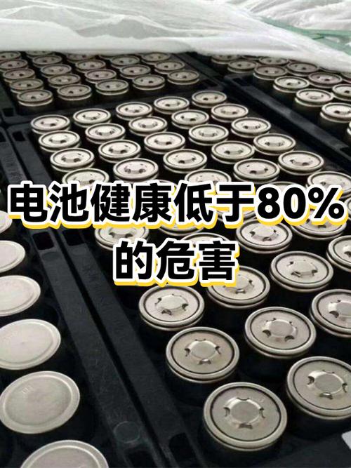 充电宝对手机电池有损害吗游戏截图