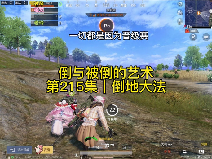 和平精英画面抖动是什么问题缩略图