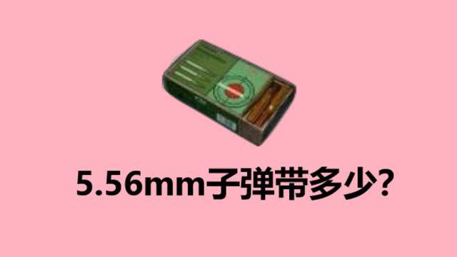 和平精英子弹容量游戏截图