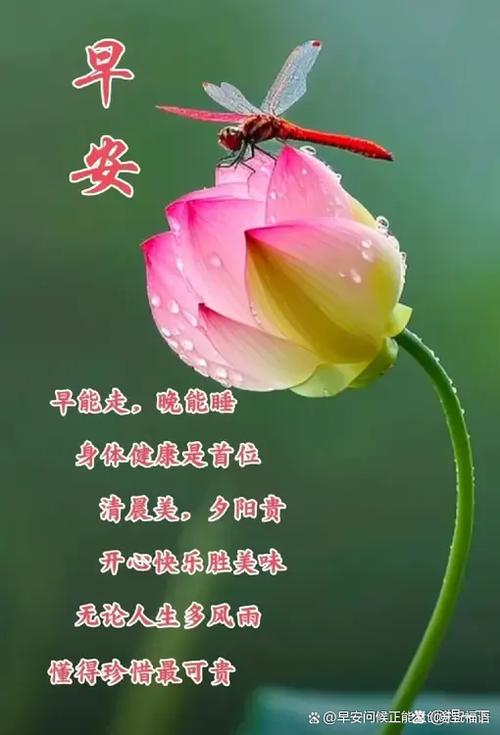 美好的祝福语简短缩略图