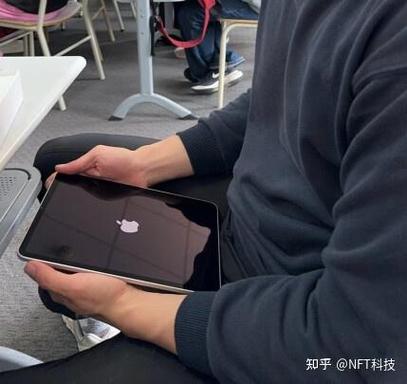 ipad被偷了别人还能用吗游戏截图