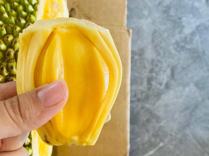 菠萝蜜切开不甜怎么办缩略图