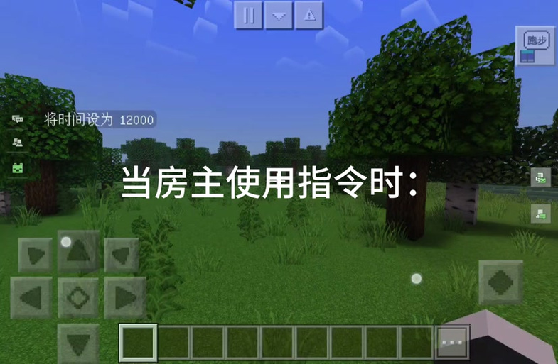 我的世界怎么输房间号图标