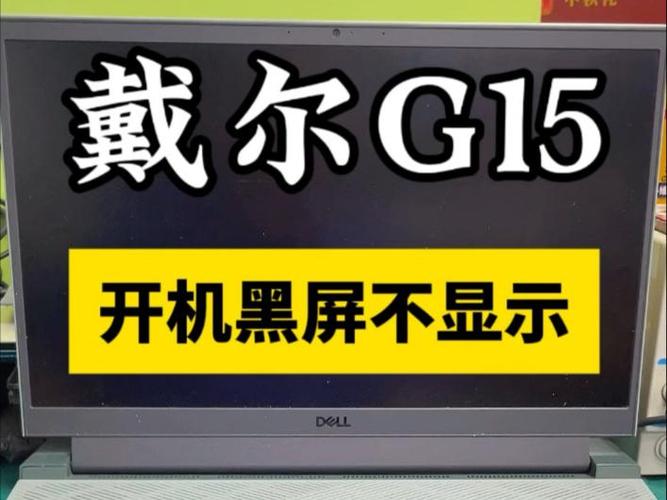 dell黑屏开机没反应游戏截图