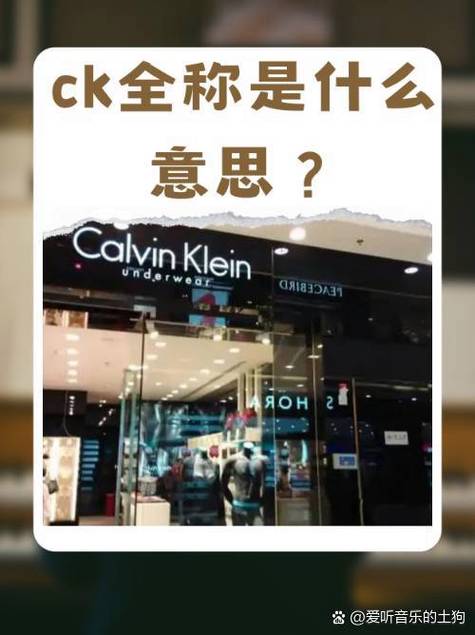 女生说CK是什么意思游戏截图