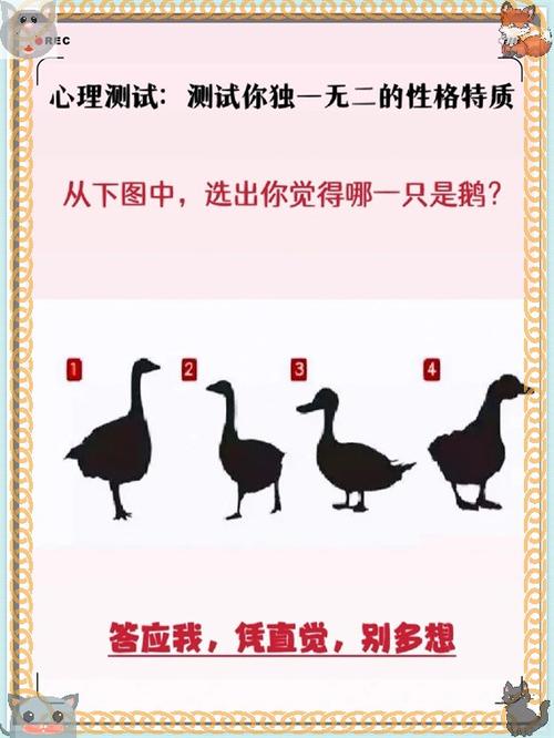 人格测试官方测试题免费入口图标