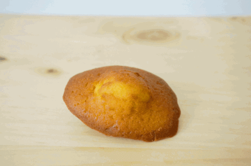 小贝壳最近消息缩略图