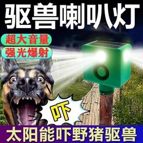 声音大点就会吓一跳缩略图