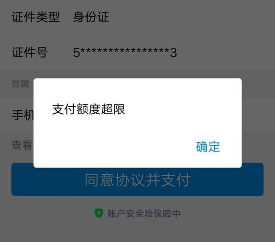 支付宝超限额度是多少游戏截图