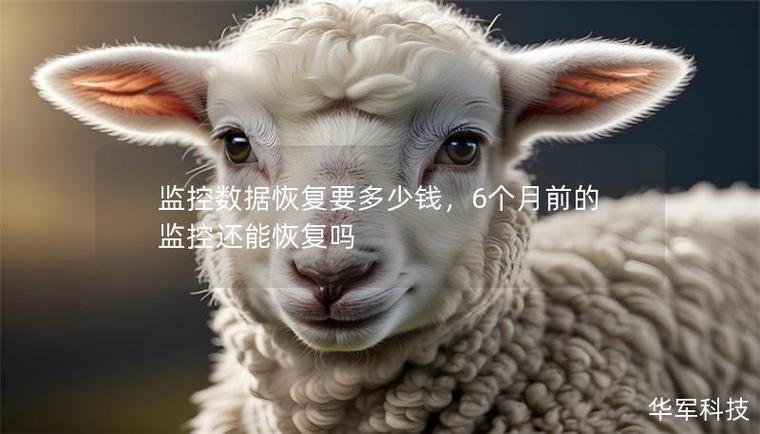 6个月前的监控还能恢复吗缩略图