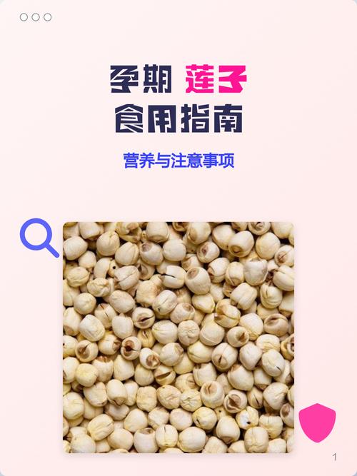 孕妇能吃莲子吗缩略图