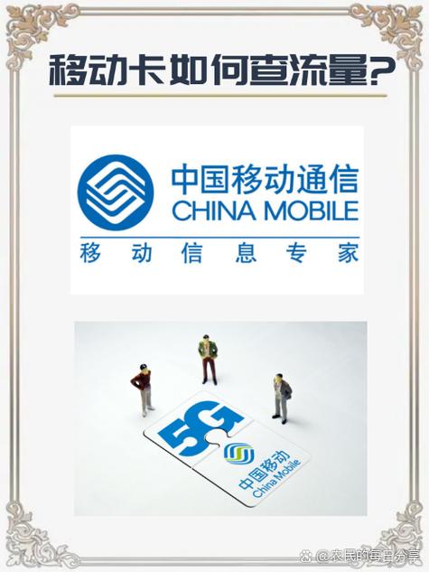 移动流量卡状态异常游戏截图