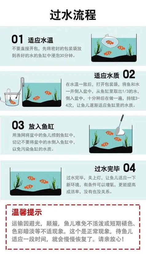 怎么养好鱼缸里的鱼缩略图