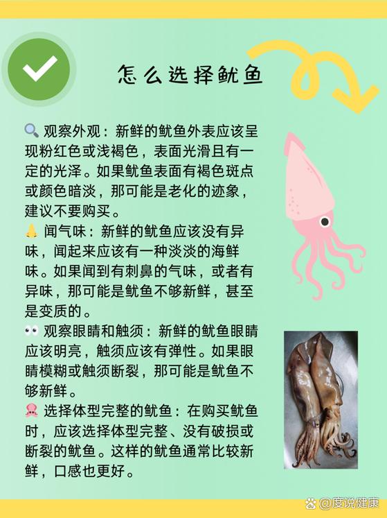 鱿鱼有啥营养价值缩略图