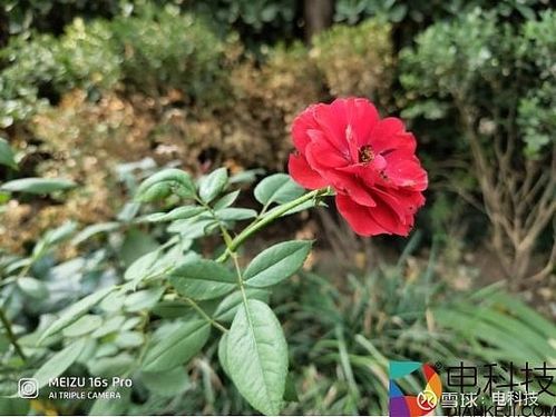 魅族16spro如何锁定桌面布局缩略图