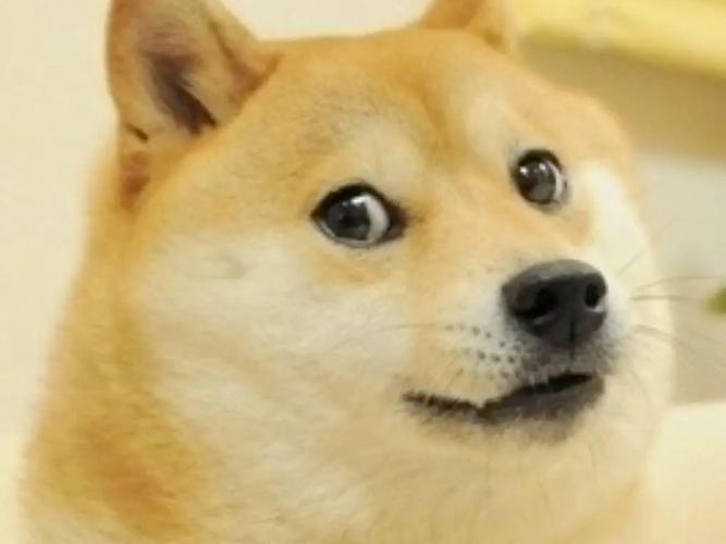 表情包狗头表情包含义缩略图