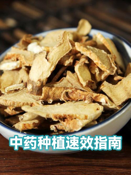 吃什么可以消水肿最快最有效游戏截图