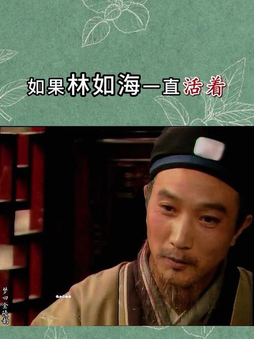 红楼之林如海重生txt百度云缩略图