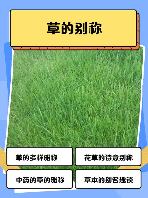 护草先锋称号什么意思缩略图