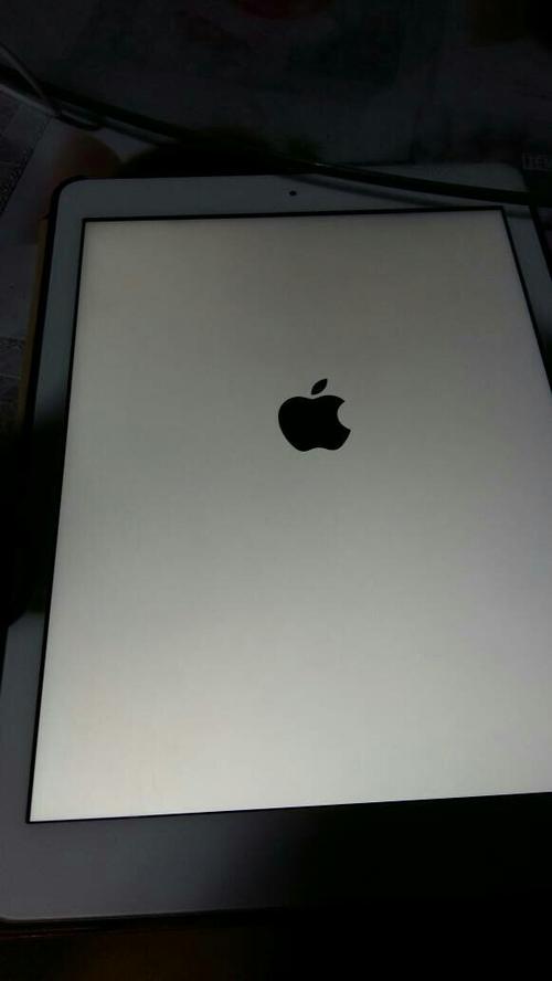 ipad一直在开机界面 开不了机缩略图