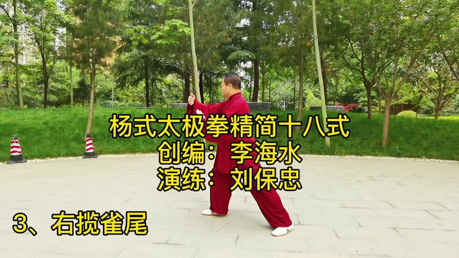 太极十八式慢动作分解缩略图