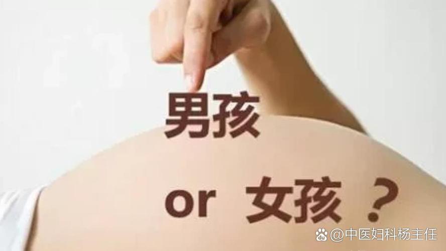 仔指的是男孩还是女孩缩略图