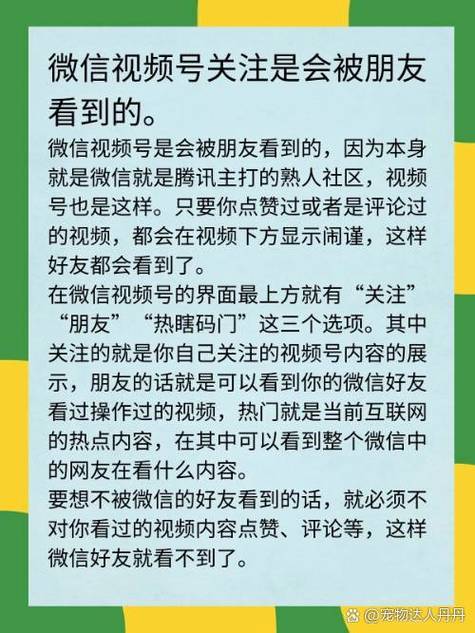 朋友赞过的视频号突然不见了图标