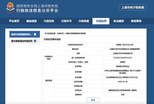 上海网上税务局缩略图