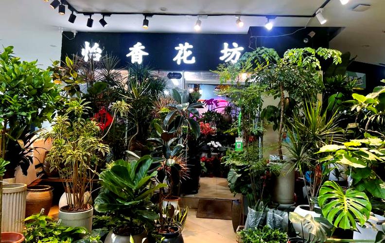附近有花卉市场在哪里缩略图