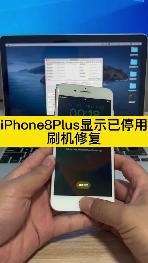 苹果8plus中间按键按不动缩略图