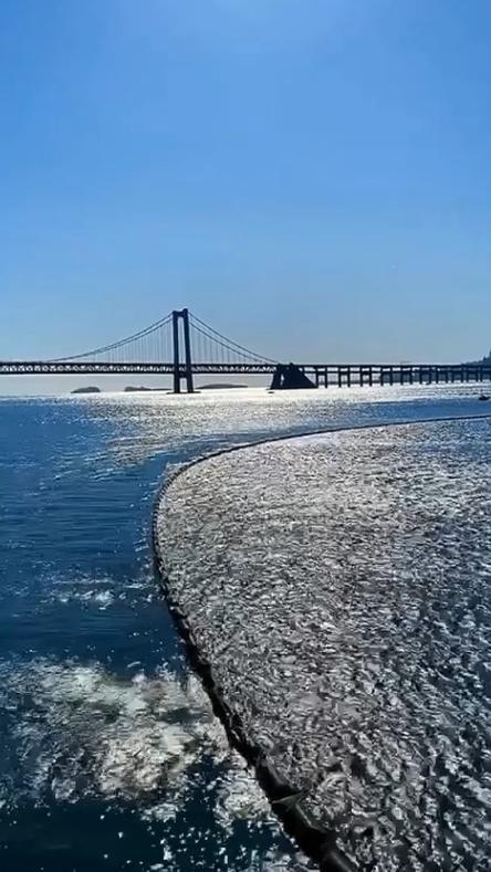 适合做视频背景音乐的纯音乐游戏截图