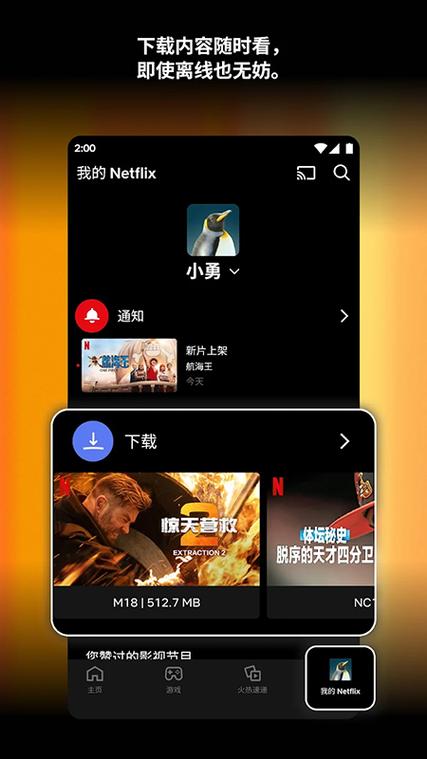 奈飞中文版官方缩略图
