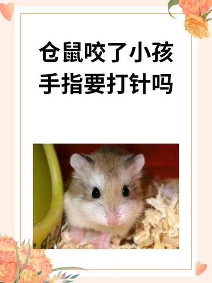 被仓鼠咬了咋办缩略图