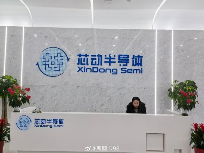 芯动科技为啥不上市缩略图