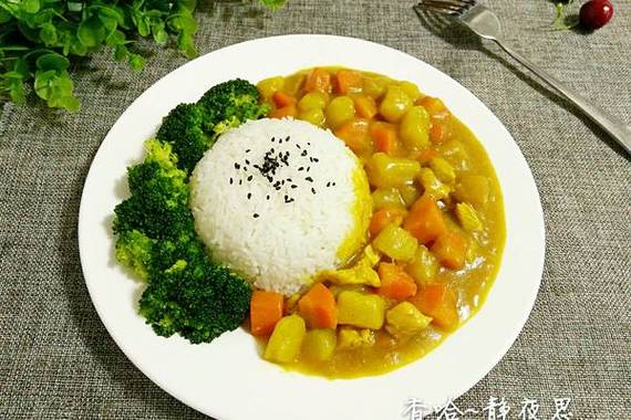 咖喱鸡肉饭的营养价值游戏截图