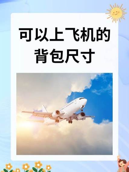飞机对背包重量的要求游戏截图