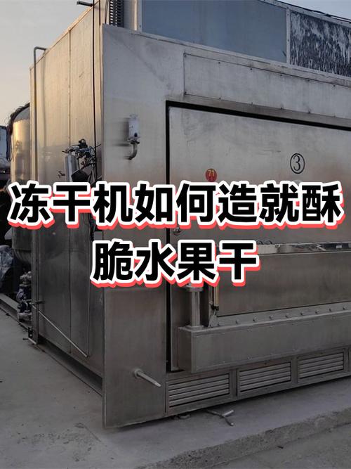 水果冻干机多少钱一台游戏截图