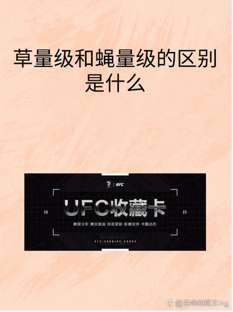 什么叫量级游戏截图