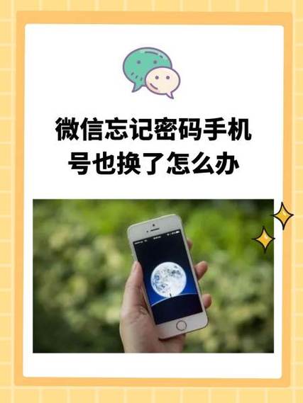 天天应急答题怎样换手机号缩略图