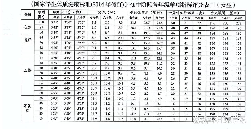 2023年咸宁中考体育考试评分标准游戏截图