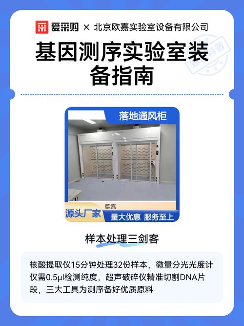 lol无限乱斗日女出装缩略图