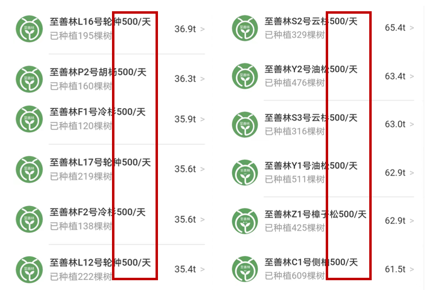 蚂蚁森林钉钉团队缩略图