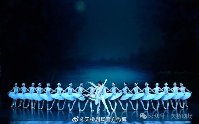天鹅影视免费追剧app缩略图