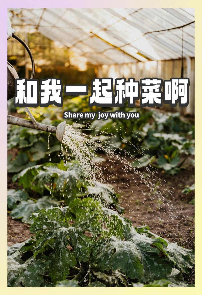 省钱优选种地缩略图