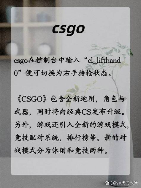 csgo怎么调持枪姿势缩略图
