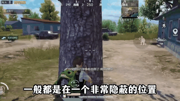 和平精英隐藏的秘密缩略图