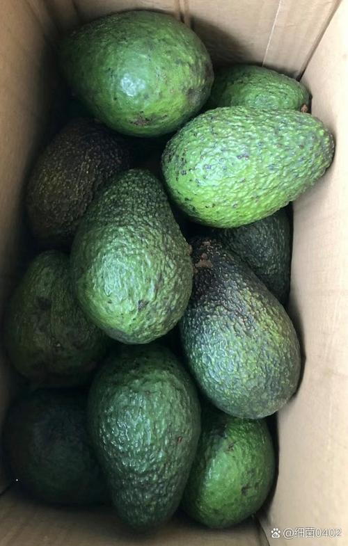长得像牛油果的绿皮水果缩略图