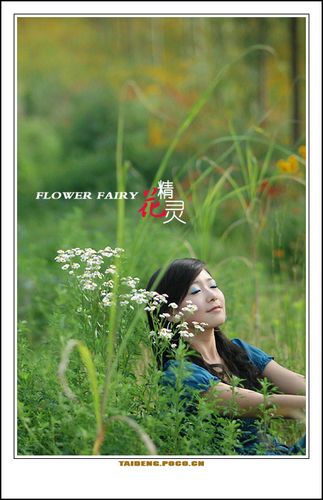 flowerfairy花之精灵游戏图标