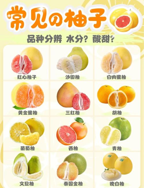 柚子有哪些品种缩略图
